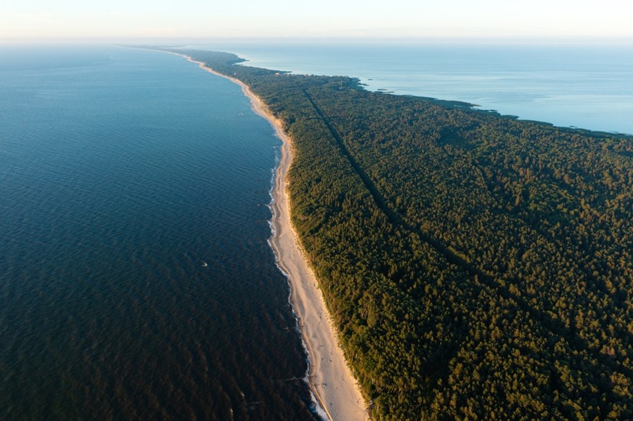 Mierzeja Kurońska: Wydmy jak z Afryki i plaża bez końca /Shutterstock