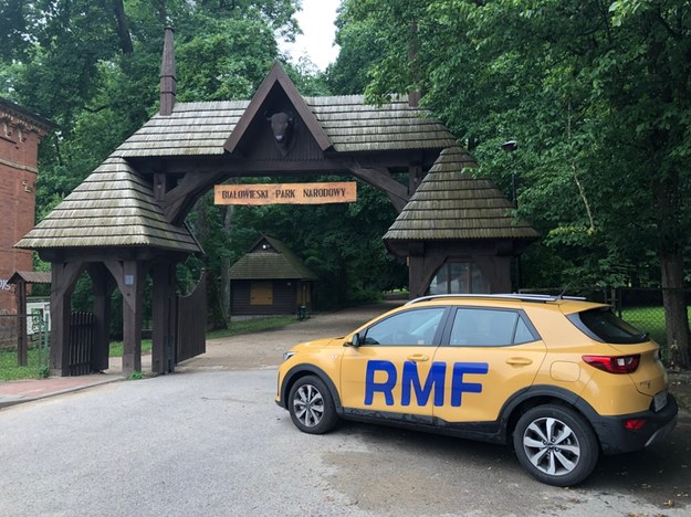 Miesiąc temu w powiecie hajnowskim na Podlasiu zaczęła obowiązywać strefa buforowa. Na miejscu jest reporter RMF FM, Piotr Bułakowski /Piotr Bułakowski /RMF FM