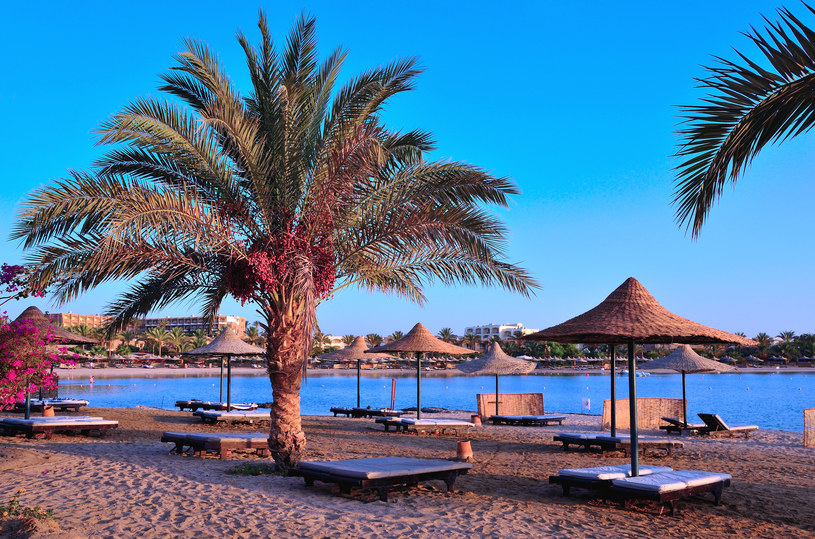 Miesięczne wakacje w Egipcie mają być tańsze od utrzymania domu /123RF/PICSEL