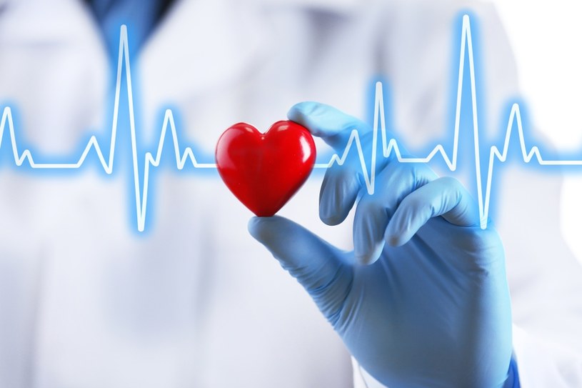 Mięśnie serca mogą się regenerować. Naukowcy odkryli, które białko jest w tym procesie kluczowe /123RF/PICSEL /123RF/PICSEL