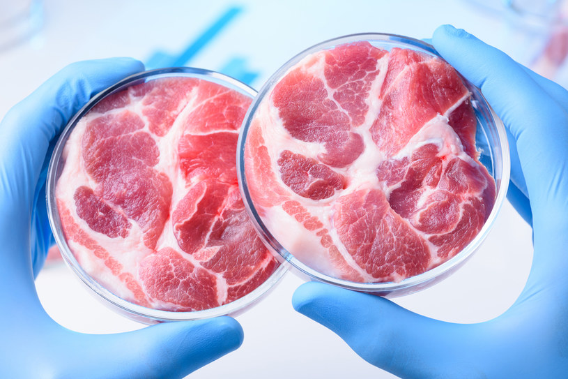 Mięso hodowane w laboratorium to nie science fiction /123RF/PICSEL