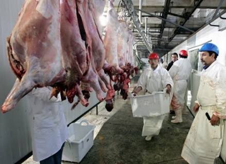 Mięso w postaci pośredniej /AFP