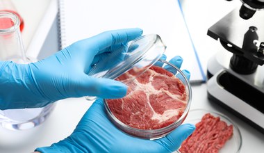 Mięso wyhodowane laboratoryjnie trafi do sklepów! Urzędnicy wydali zgodę i potwierdzili, że taka żywność jest bezpieczna. Nadchodzi rewolucja