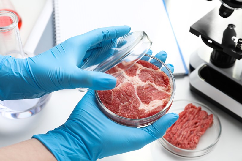 Mięso wyhodowane laboratoryjnie trafi do sklepów! /123RF/PICSEL
