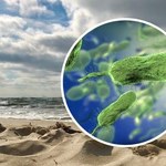Mięsożerna bakteria w Bałtyku. W Niemczech zmarł 74-letni mężczyzna