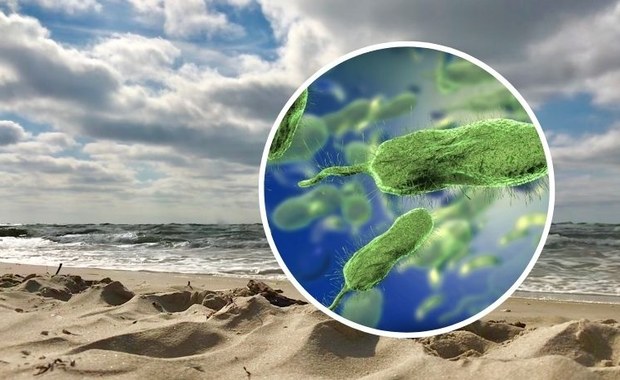 Mięsożerna bakteria w Bałtyku. W Niemczech zmarł 74-letni mężczyzna