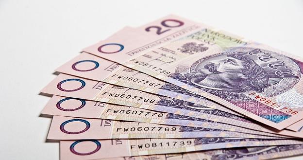 Mieszane dane z Polski utrzymują złotego w miejscu /&copy;123RF/PICSEL