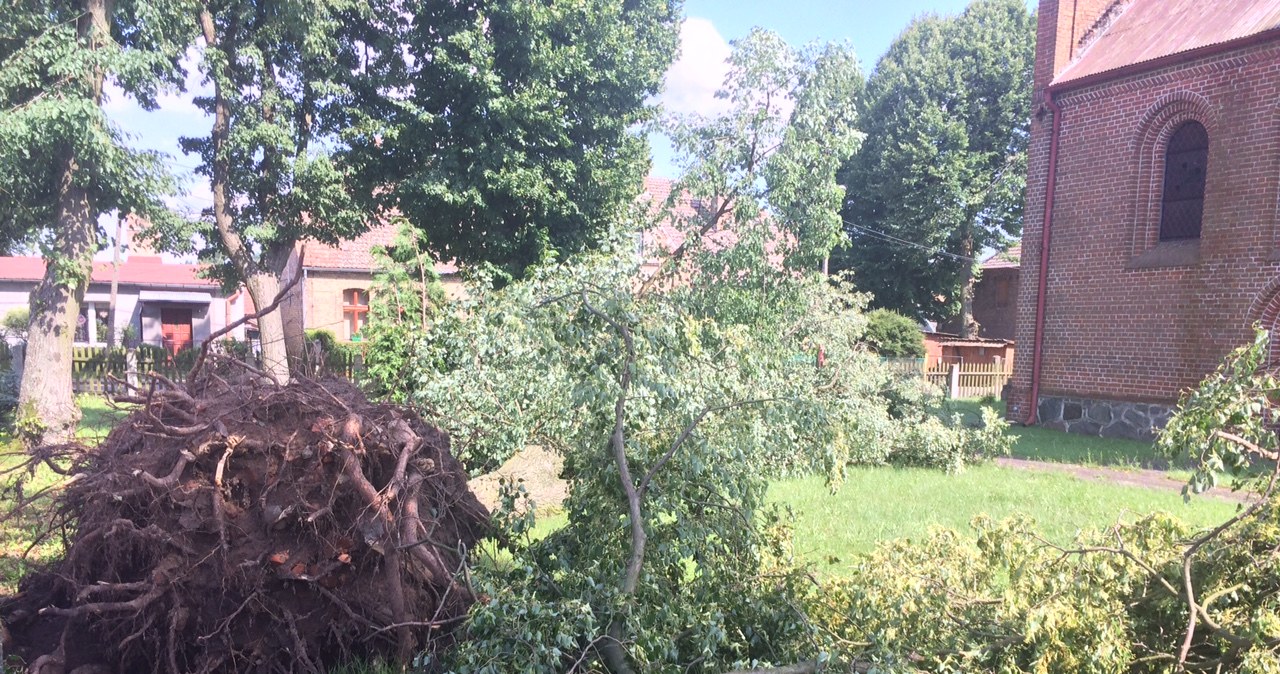 Mieszkańcy Bobrówka w Lubuskiem liczą straty po trąbie powietrznej