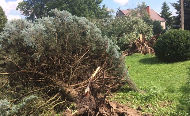 Mieszkańcy Bobrówka w Lubuskiem liczą straty po trąbie powietrznej