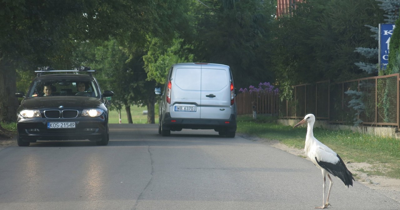 Mieszkańcy chcą rozproszyć ruch po drogach lokalnych /Adrian Ślazok /Reporter