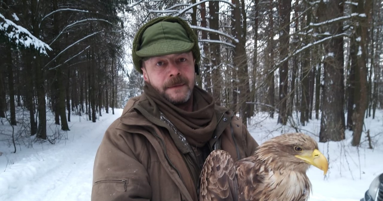 Mieszkańcy i leśnicy uratowali osłabionego bielika 