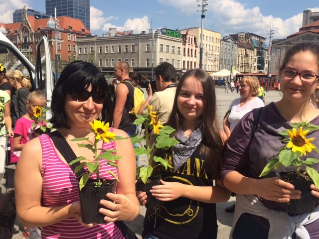 Mieszkańcy Katowic z sadzonkami słoneczników /Anna Kropaczek /RMF FM