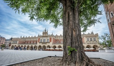 Mieszkańcy Krakowa chcą odzyskać rynek. Koniec z "betonową patelnią"