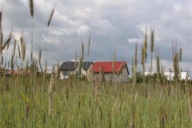 "Rzeczpospolita": Wielka ucieczka poza miasto - fakty ...