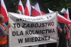 Mieszkańcy Miedźnej protestują przed urzędem wojewódzkim w Katowicach