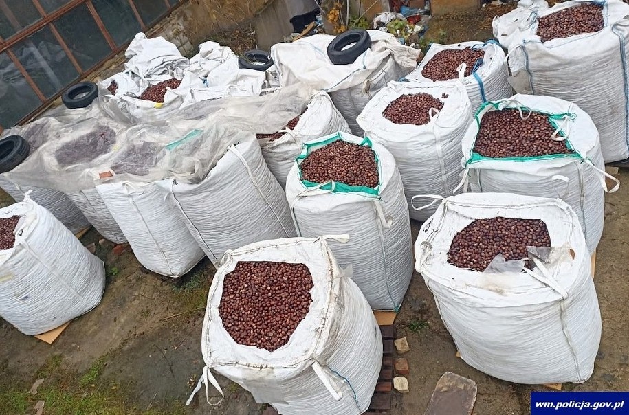 Mieszkańcy Pisza i okolic zebrali kasztany, żeby wspomóc leczenie rocznej Marcelinki (fot. policja.gov.pl) /