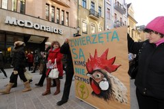 Mieszkańcy polskich miast przemaszerowali w obronie zwierząt 