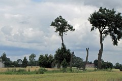 Mieszkańcy Smętowa Granicznego próbują odbudować swój majątek: