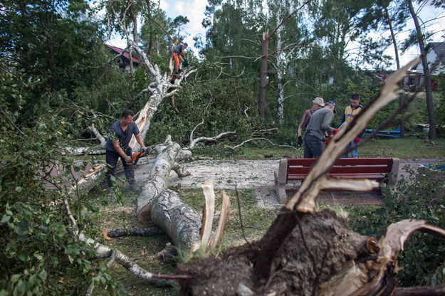 Mieszkańcy sprzątają połamane drzewa /Jan Dzban /PAP