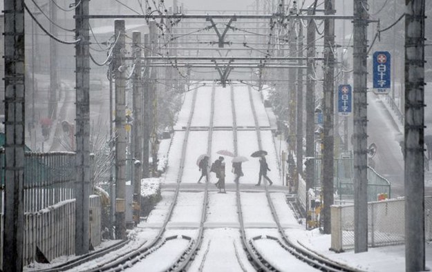 Mieszkańcy Tokio walczą z atakiem zimy /FRANCK ROBICHON /PAP/EPA