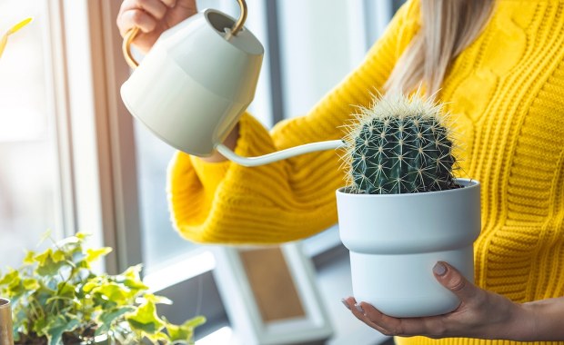 Mieszkania w Polsce: Gdzie jest ich najwięcej, a gdzie najłatwiej o własny kąt?