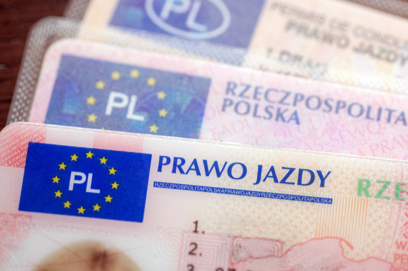 Mieszkanka powiatu bialskiego chciała zdobyć prawo jazdy, straciła 30 tys. zł / Arkadiusz Ziolek /East News