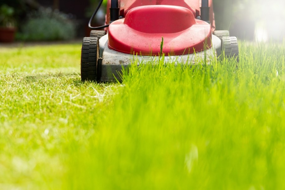 Mieszkasz w Wielkiej Brytanii? Uważaj, za koszenie trawnika w weekend może grozić grzywna /Shutterstock