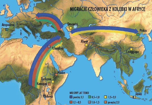Migracje człowieka z kolebki w Afryce /Encyklopedia Internautica