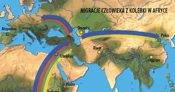 Migracje człowieka z kolebki w Afryce /Encyklopedia Internautica