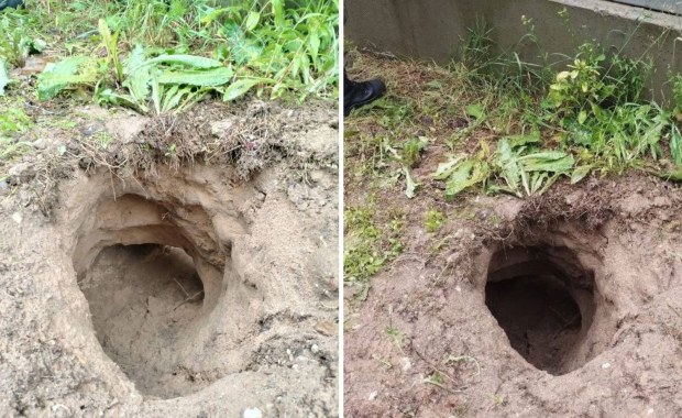 Migranci nie odpuszczają. Podkopali się pod zaporą na granicy