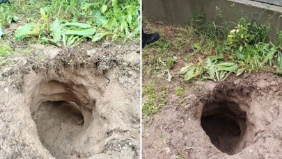 Migranci nie odpuszczają. Podkopali się pod zaporą na granicy