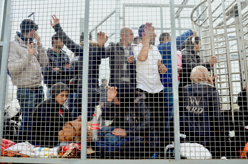 Migranci oczekują na przekroczenie granicy sebsko-węgierskiej /AFP