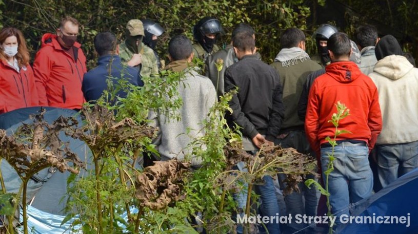 Migranci przedostają się przez granicę polsko-białoruską, a następnie do Niemiec /Straż Graniczna /materiały prasowe