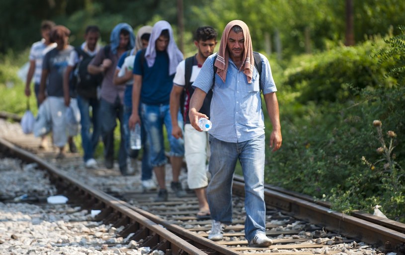 Migranci w drodze do miasta Gevgelija, zdjęcie z 2015 roku /AFP