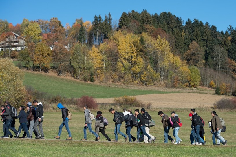 Migranci w drodze z Austrii do Niemiec /Sebastian Kahnert / DPA / AFP /AFP