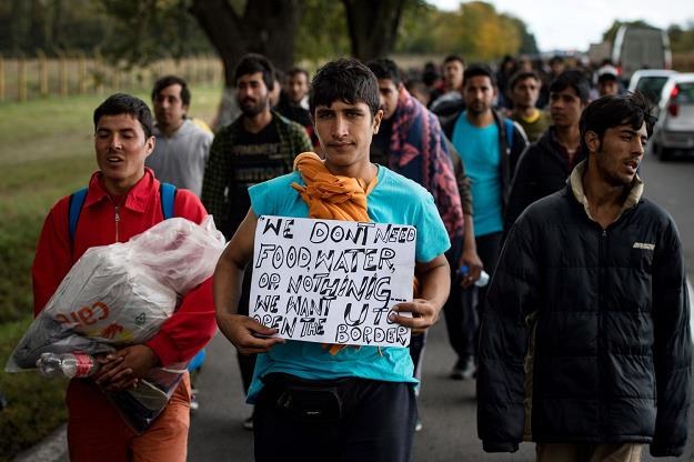 Migranci w Serbii maszerujący w stronę Węgier /AFP