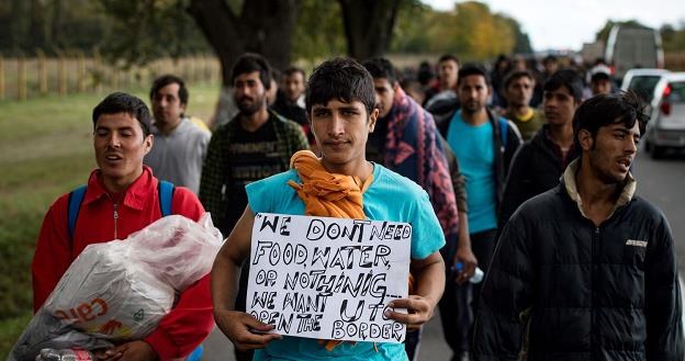 Migranci w Serbii maszerujący w stronę Węgier /AFP