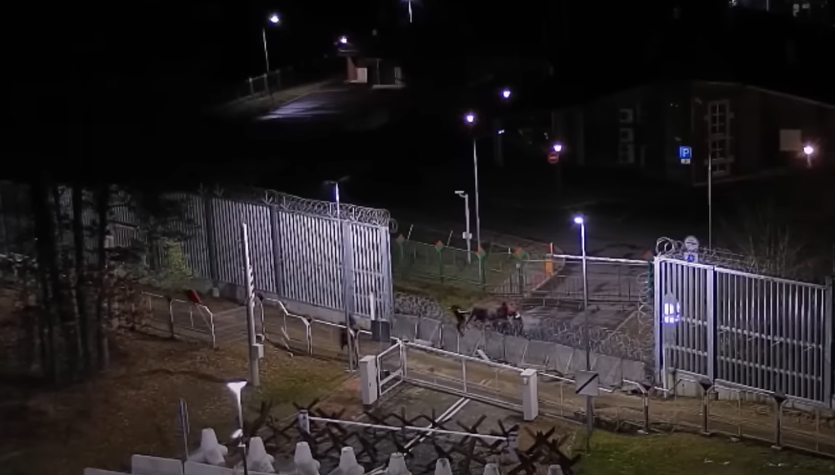 Migranci znaleźli nowy sposób na nielegalne przekraczanie granicy Polski [NAGRANIE]