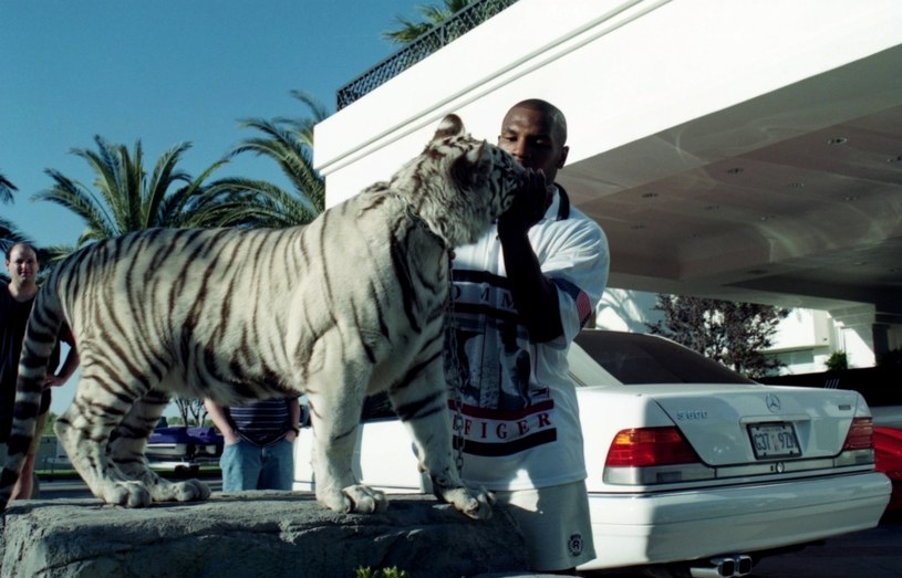 Mike Tyson posiadał w sumie trzy białe tygrysy. Najdłużej żyła z nim samica o imieniu Kenya. Spędzili razem 16 lat /The Ring Magazine /Getty Images