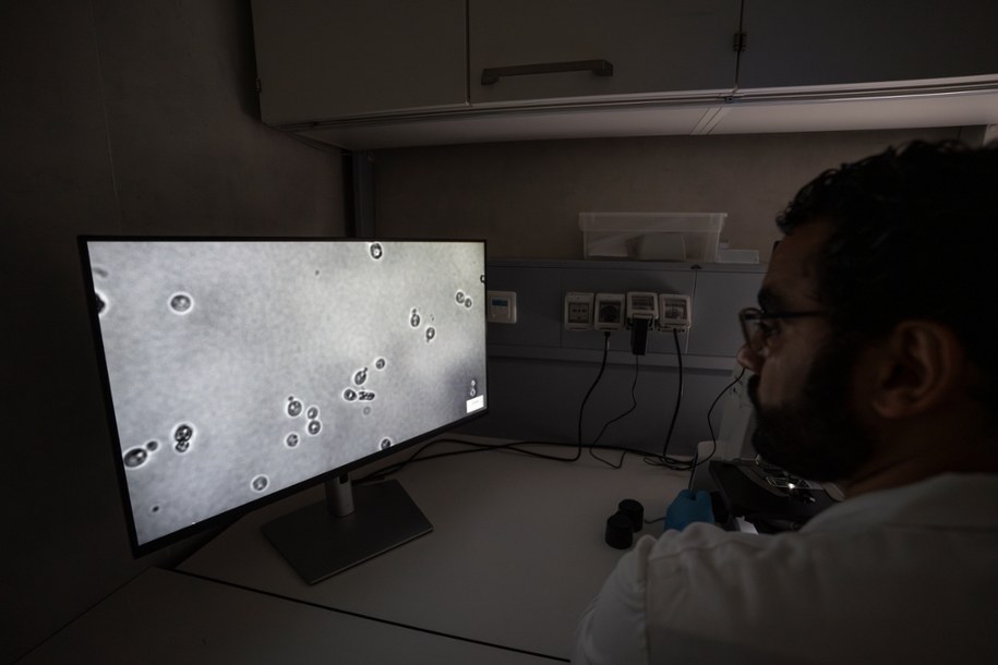 Mikrobiolog Mohamed Sarhan obserwuje obraz mikroskopowy komórek drożdży. /Eurac Research | Andrea De Giovanni /Materiały prasowe