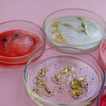 Mikroflora bakteryjna jelit a odporność