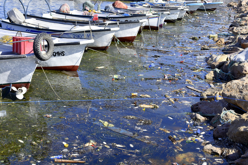 Mikroplastik wpływa na morski ekosystem /Albin Marciniak/East News /East News