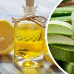 Mikstura oczyszczająca Józefa Słoneckiego. Przepis i działanie