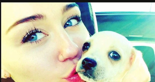 Miley ze swoim nowym psim przyjacielem /MWMedia