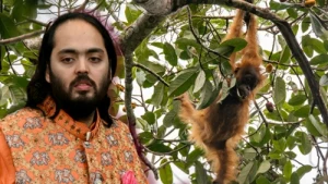 Miliarder oskarżony o pozyskanie zagrożonego gatunku. Rozmowa z premierem