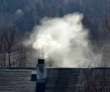 Miliardy na termomodernizację domów i wymianę kopciuchów. NFOŚIGW ma plan