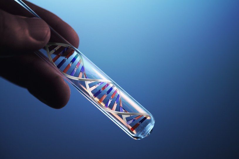 Miliony Europejczyków zamawiają testy DNA /123RF/PICSEL