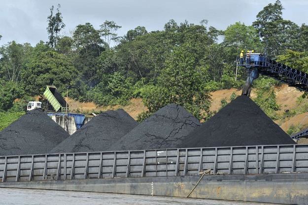 Miliony ton węgla czeka na chętnych /AFP