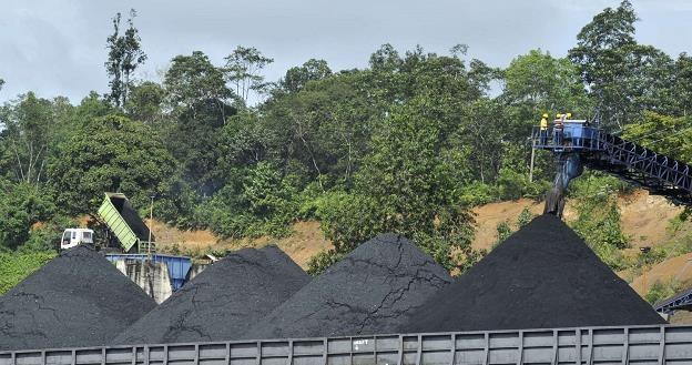 Miliony ton węgla czeka na chętnych /AFP