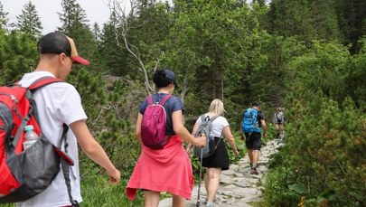 Miliony złotych na remonty szlaków. TPN ogłosił plany